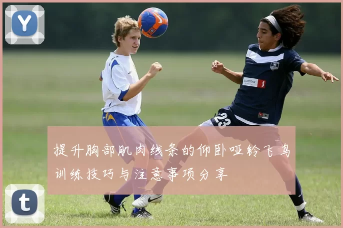 提升胸部肌肉线条的仰卧哑铃飞鸟训练技巧与注意事项分享