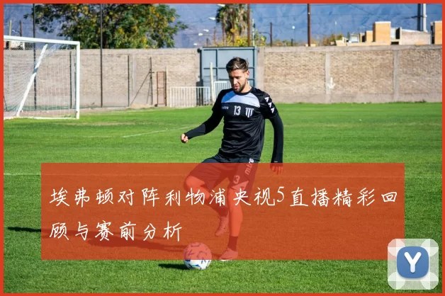 埃弗顿对阵利物浦央视5直播精彩回顾与赛前分析
