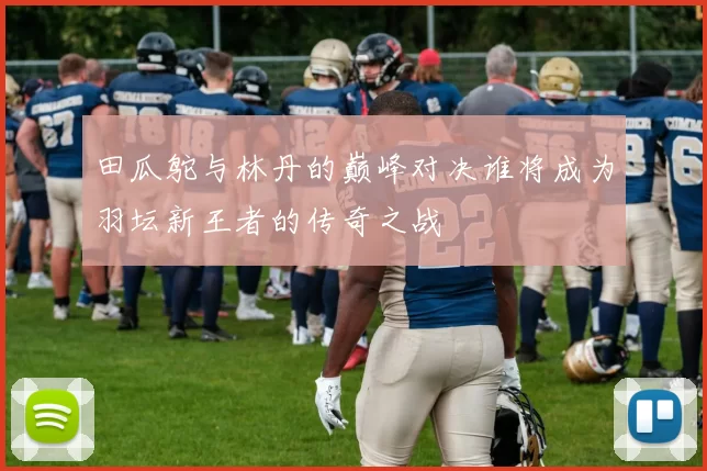田瓜鸵与林丹的巅峰对决谁将成为羽坛新王者的传奇之战